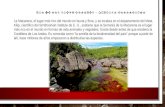 Rio de Los Siete Colores_paraíso Colombiano