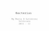 Bacterias 3
