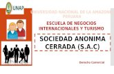 SOCIEDAD ANONIMA CERRADA (S.A.C)
