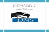 Instalacion Configuracion DNS