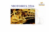 Motor 3516.pdf