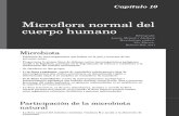 Microflora Normal Del Cuerpo Humano