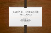 CÁMARA DE COMPENSACIÓN PRELIMINAR.pptx