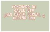 Ponchado Cable Utp