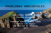 Problemas Ambientales de Juan Andres Agudelo Ortiz 10°2