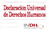 Librillo Instituto Nacional de Los Derechos Humanos
