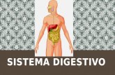 Sistema digestivo. expo.pptx
