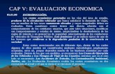 Cap v - Evaluación Económica (Sustentación de Tesis)