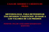 Metodologia Para Division y Particion Caja Municipal