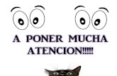 A Poner Mucha Atencion!!!!!