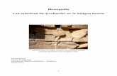 Practicas Incubacion Antigua Grecia-esp