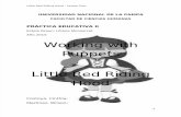Puppets - Lesson Plan - Little Red Riding Hood