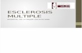 Esclerosis Multiple Final (2)