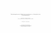 Hidrotermalismo y Yacimientos Minerales 20