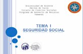 PRESENTACIÓN DE SEGURIDAD SOCIAL TEMA I ACTUAL 2014.ppt