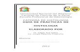 GUIA DE HISTOLOGIA - ODONTOLOGIA 2012 - II SEMESTRE.doc