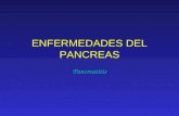 1. Enfermedades Del Pancreas