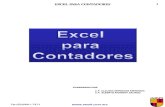 Excel Contadores 2009
