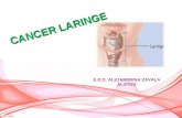 Cancer Laringe