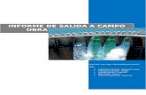 Informe de Irrigaciones Completo