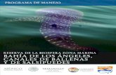 Programa de Manejo de la Reserva de la Biósfera Bahía de los Ángeles, canales de ballenas y de Salsipuedes