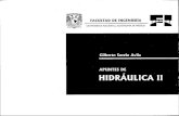 SOTELO Hidraulica II