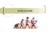 Apuntes Sobre La Evolucion Humana 2.0