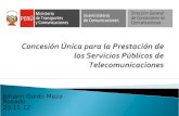 Concesion Unica Para La Prestacion de Los Servicios Publicos de Telecomunicaciones