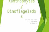 Atlas Chlorophytas, Xanthophytas y Dinoflagelados