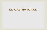 Gas Natural (Exposicion)