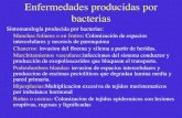 tema7 agrobacterium