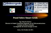 III Congreso Regulacion - Panel Smart Grids EZ