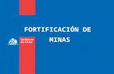 Fortificaci³n de Minas.ppt