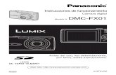 Panasonic FX01