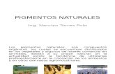 1 - PIGMENTOS NATURALES