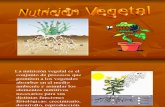 Nutricion y Crecimiento en Plantas