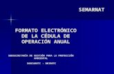 FORMATO ELECTRÓNICO DE LA CÉDULA DE OPERACIÓN ANUAL SUBSECRETARÍA DE GESTIÓN PARA LA PROTECCIÓN AMBIENTAL DGGCARETC - DRIRETC SEMARNAT.