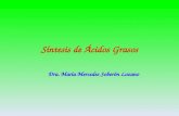 Síntesis de Ácidos Grasos Dra. María Mercedes Soberón Lozano.