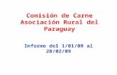 Comisión de Carne Asociación Rural del Paraguay Informe del 1/01/09 al 28/02/09.