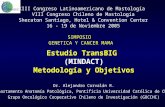 Estudio TransBIG (MINDACT) Metodología y Objetivos Dr. Alejandro Corvalán R. Departamento Anatomía Patológica, Pontificia Universidad Católica de Chile.