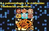La paleontología y la evolución: Tendencias evolutivas.