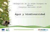 1 Agua y biodiversidad Delegación de la Unión Europea en México Congreso Nacional ICLEI.