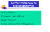 Mecanismos Factores que influyen Daño térmico Microorganismos indicadores Termorresistencia de Microorganismos.