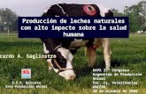 AAPA 27º Congreso Argentino de Producción Animal Fac. Cs. Veterinarias. UNCPBA 20 de octubre de 2004 Producción de leches naturales con alto impacto sobre.