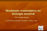 Modelado matemático en biología tumoral Dra. Cecilia Suárez Laboratorio de Sistemas Complejos – FCEyN – UBA.