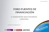 FORO FUENTES DE FINANCIACIÓN y cooperación para iniciativas culturales Gonzalo Castellanos V.