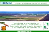 1  Oportunidad de Inversión en la Producción Agrícola, Procesamiento y Exportación de Puré Aséptico de Zapallo y de Zanahoria en el.