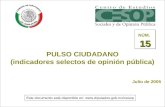--1-- PULSO CIUDADANO (indicadores selectos de opinión pública) Julio de 2005 15 NÚM. 15 Este documento está disponible en: .