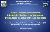 República de Honduras Secretaría de Salud III Reunión Técnica Proyecto de Cooperación Técnica entre Países (TCC) Fortalecimiento del Sistema Informático.