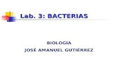 Lab. 3: BACTERIAS BIOLOGÍA JOSÉ AMANUEL GUTIÉRREZ.